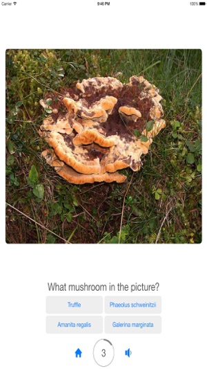 Guess Mushroom(圖2)-速報App