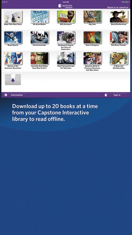 Capstone Interactive