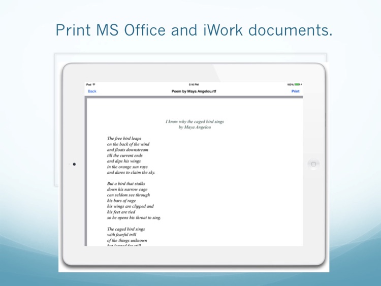 Print Easy for iPad screenshot-4
