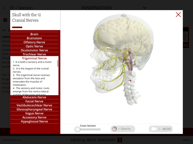 Head and Neck Anatomy 3(圖5)-速報App