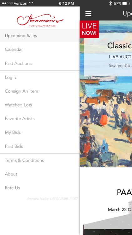 Annmaris Auction screenshot-4