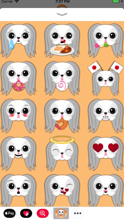 White Japanese Chin screenshot-3