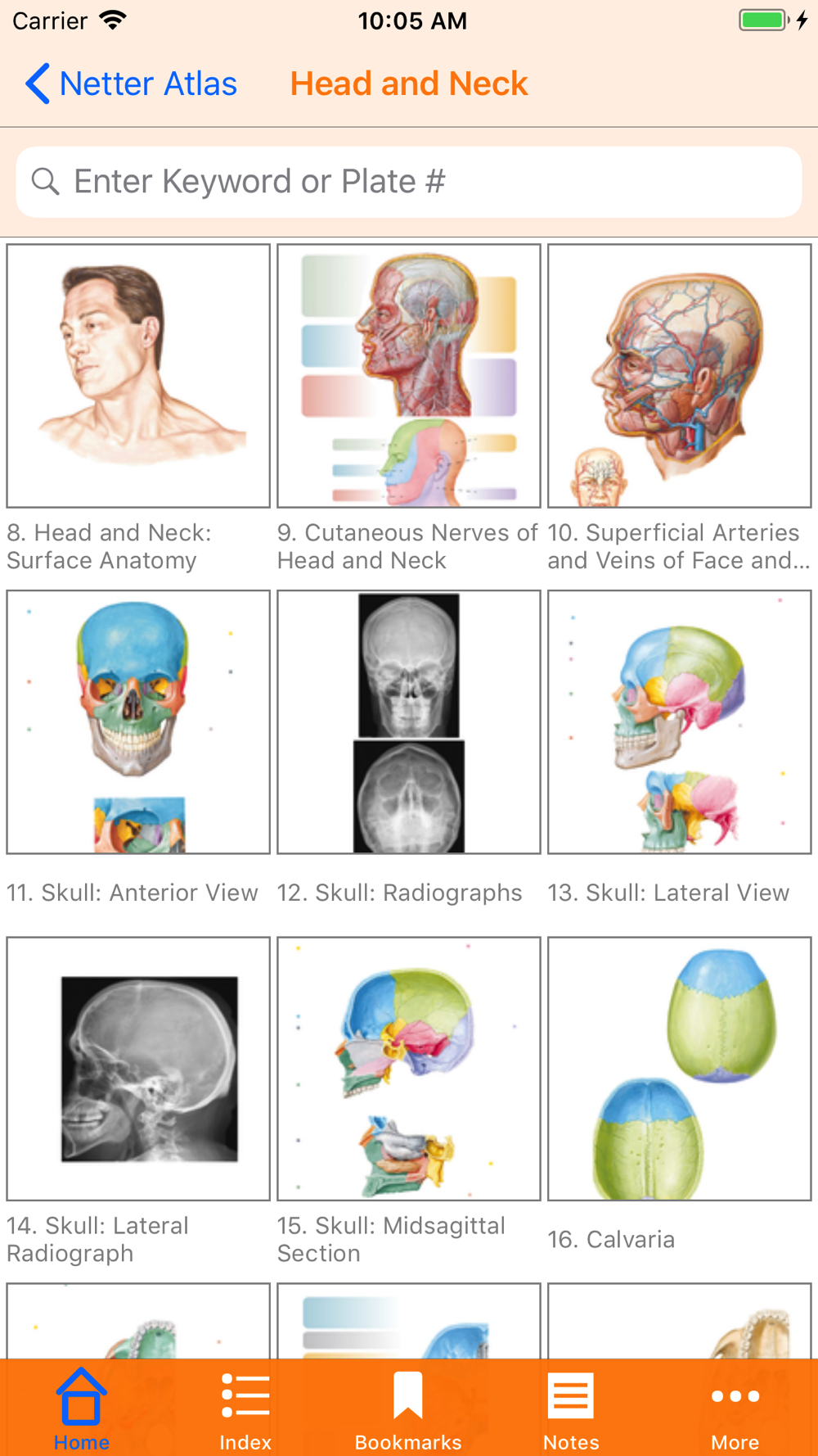 Download Netters Anatomy Atlas 7e Download App For Iphone Steprimo Com