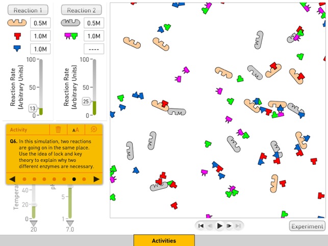 Enzymes(圖4)-速報App