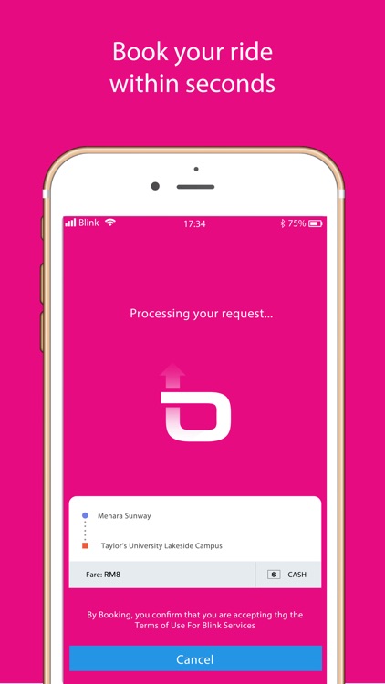 Blink - Ridesharing for women