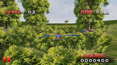 Bird Race 3D screenshot 2