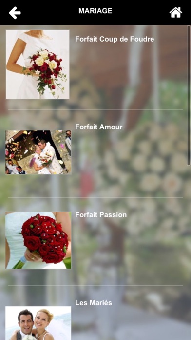 Lysland Fleurs screenshot 2