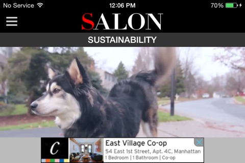 Salon.com screenshot 2