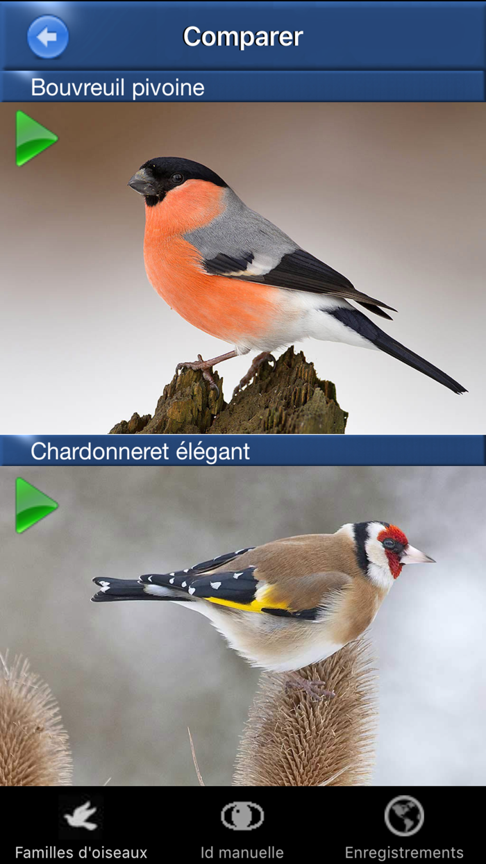 Chants d’oiseaux avec reconnaissance automatiques