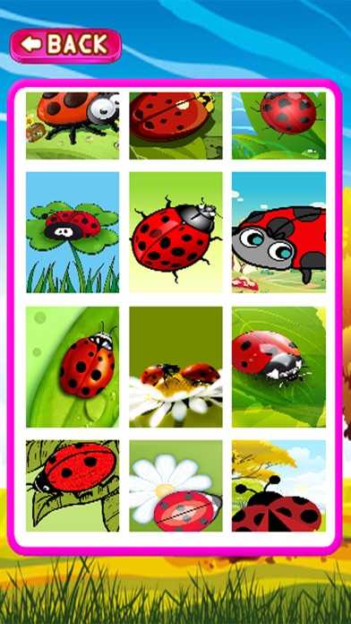 Cartoon Learn Lady bug Jigsaw screenshot 2