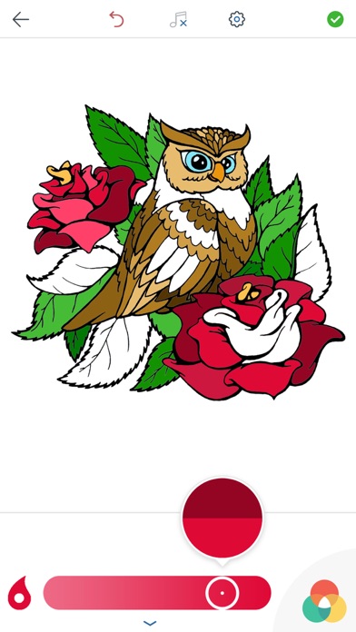 Owl Coloring Pages screenshot 3