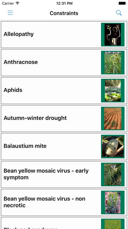 MyCrop Pulses