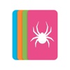 Spider Solitaire Board Game