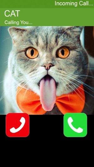 Call Cat 2(圖2)-速報App