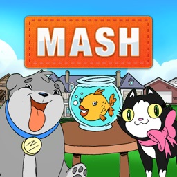 MASH Lite