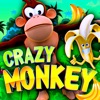 Crazy Monkey - Slots Louco