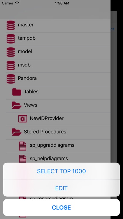 Mobile MS SQL Manager screenshot-4