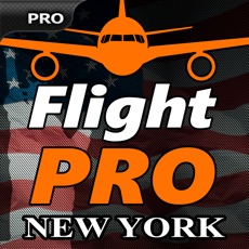 Activities of Pro Flight Simulator New York