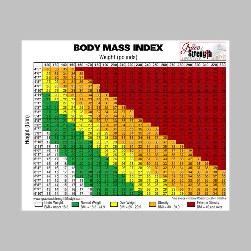 Body Mass Index 2017