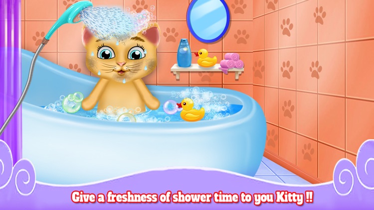 Cute Kitten Daycare & Beauty Salon