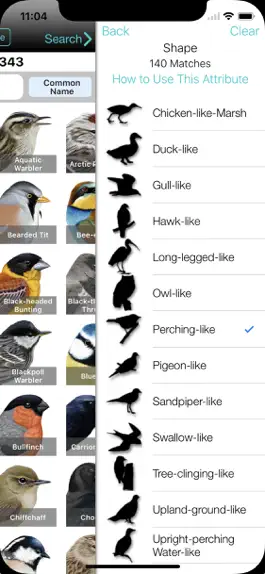 Game screenshot iBird UK Pro Guide to Birds hack