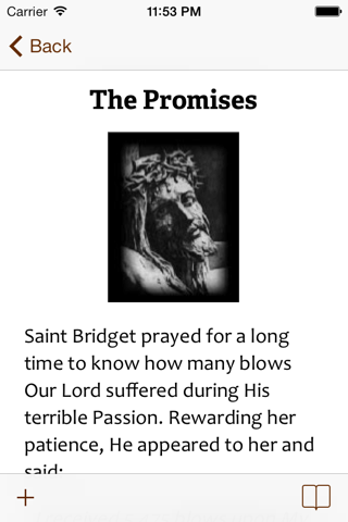 15 Prayers of Saint Bridget screenshot 3