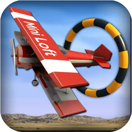 Airplane Stunts Riding Читы