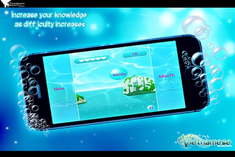 Vietnamese Bubble Bath Lite screenshot 3