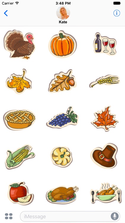 Happy Thanksgiving Stickers!