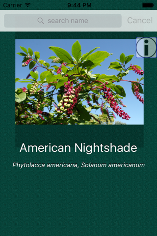 Plant Dictionary - náhled
