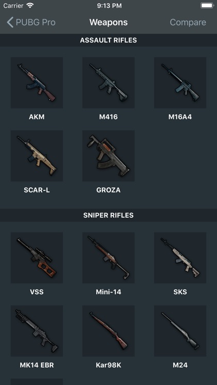 Pro Guide for PUBG
