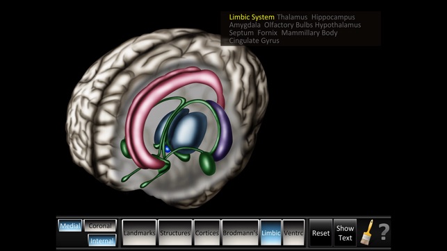 Cerebrum ID(圖4)-速報App