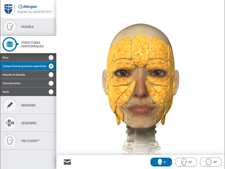 APPLICATION D’ANATOMIE FACIALE