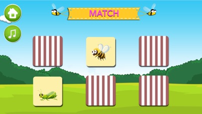 Learn about Insects screenshot 3