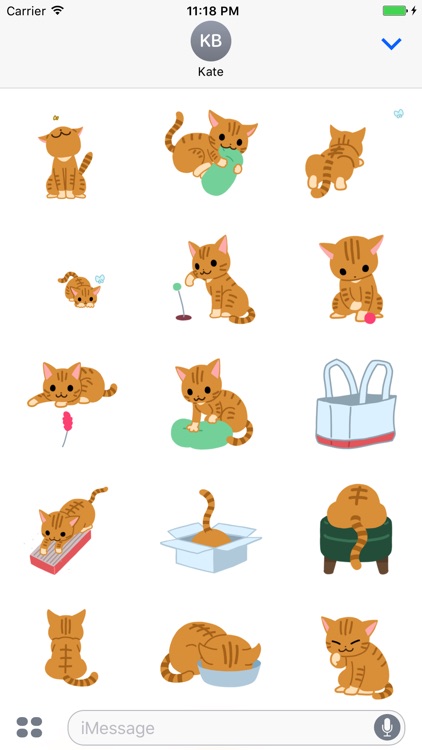 Animated Kitty Cat Stickers