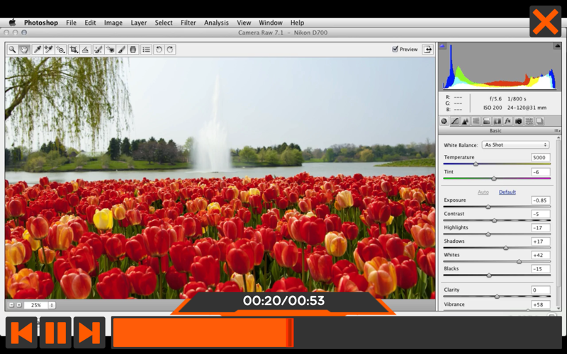 Perfect Raw Photos with ACR7 screenshot 4