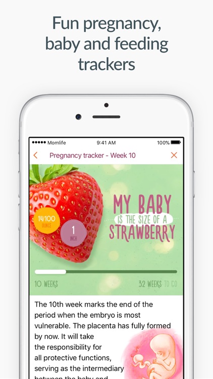 Pregnancy & baby app Mom.life