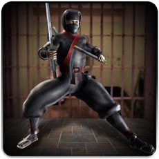 Activities of Ninja Prison Life - Jail Breakout Mission