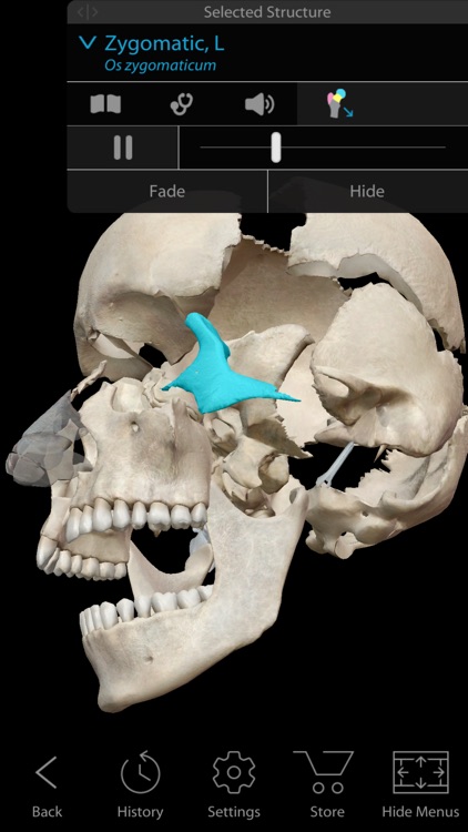 Human Anatomy Atlas 2018 - Complete 3D Human Body screenshot-3