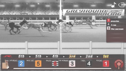 Greyhound Racing ® screenshot 3