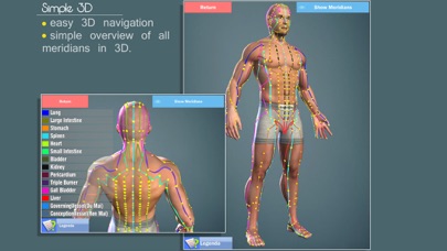 Easy Acupuncture 3D -FULL Screenshot 4