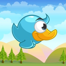 Activities of Blue Duck