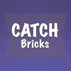 Activities of Catch Briсks