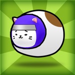Cat Ninja