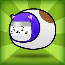 Activities of Cat Ninja!