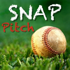 Activities of Snap Pitch