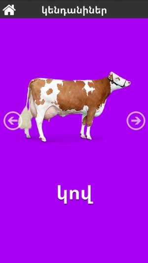 First 50 Words - Armenian Lite(圖4)-速報App