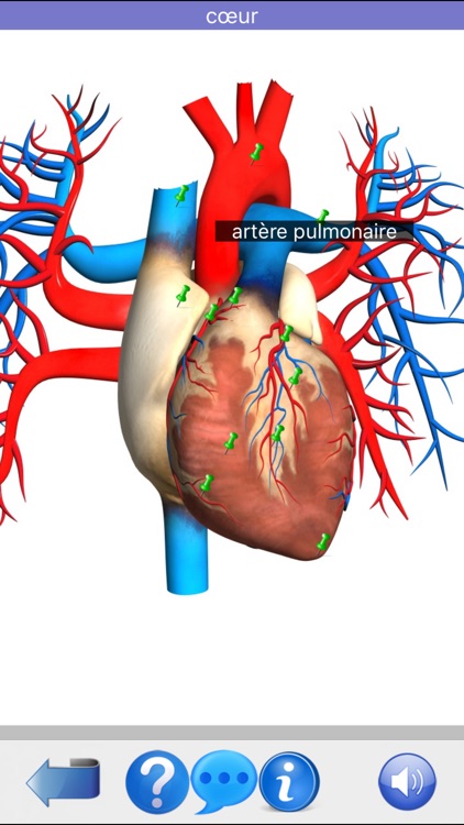 Anatomie Visuel screenshot-8