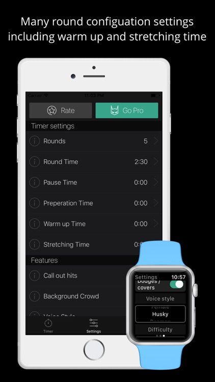 Ruckus Kickboxing Trainer Pro