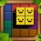 Wooden Block Puzzle: Wood Game